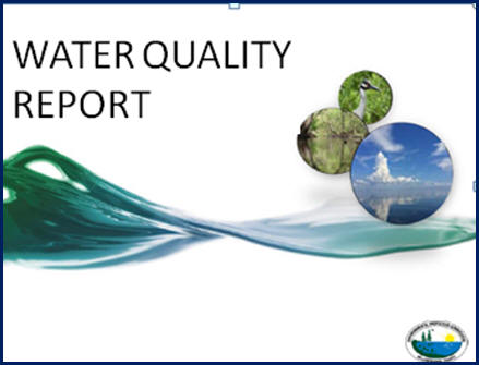 Picture of City water report cover