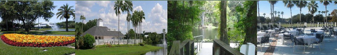 scenes of tampa palms