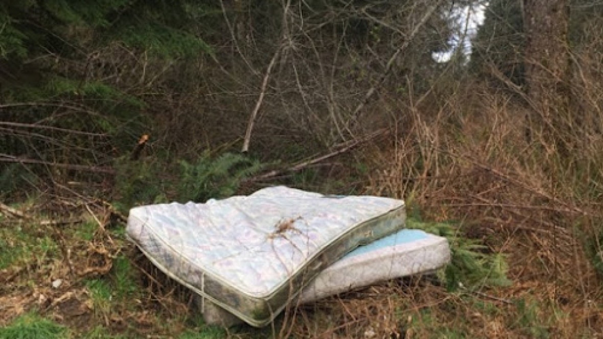 picture of discarded matress